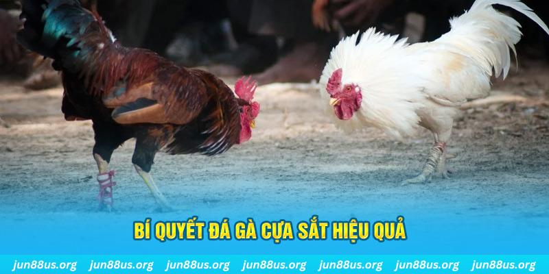 789wim xổ số miền bắc thứ ba hàng tuần