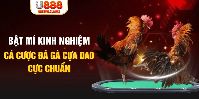 789wim casino hồ tràm có cho người việt vào không
