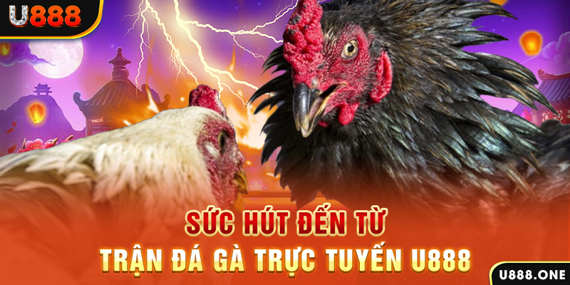 789wim đăng nhập poker 2024