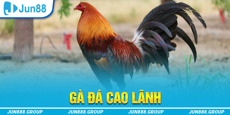 789wim tai game vua bai ve may tinh