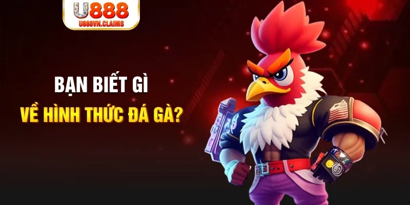 789wim đăng nhập liêng tặng tiền