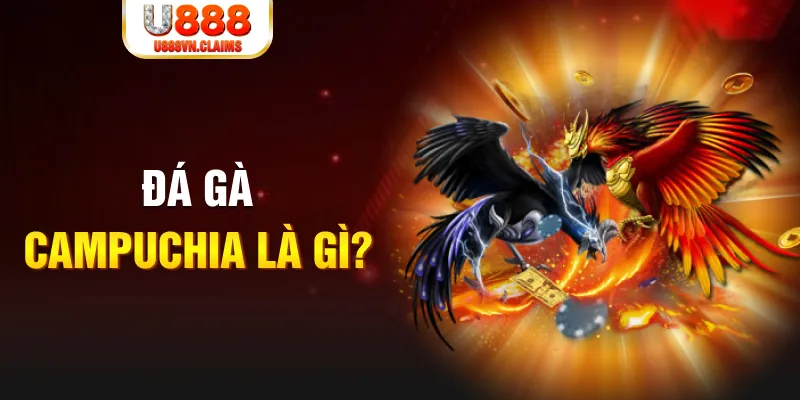 789wim what is the best online casino for real money