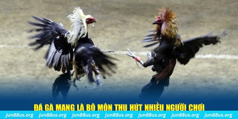 789wim đăng nhập sòng bạc số 1