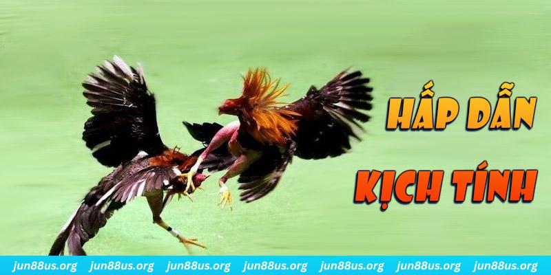 789wim xổ số miền nam thứ sáu