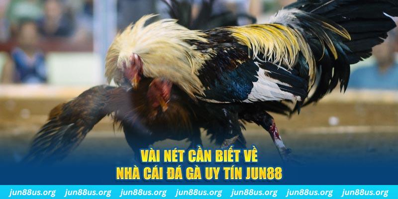 789wim Jones Chuối