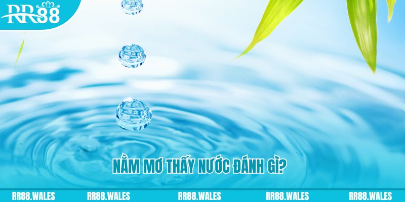 789wim xổ số trực tiếp miền bắc