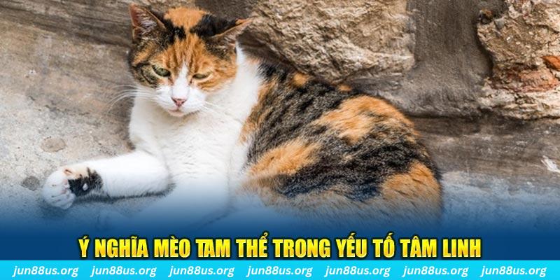 789wim máy slot game là loại trò chơi gì？