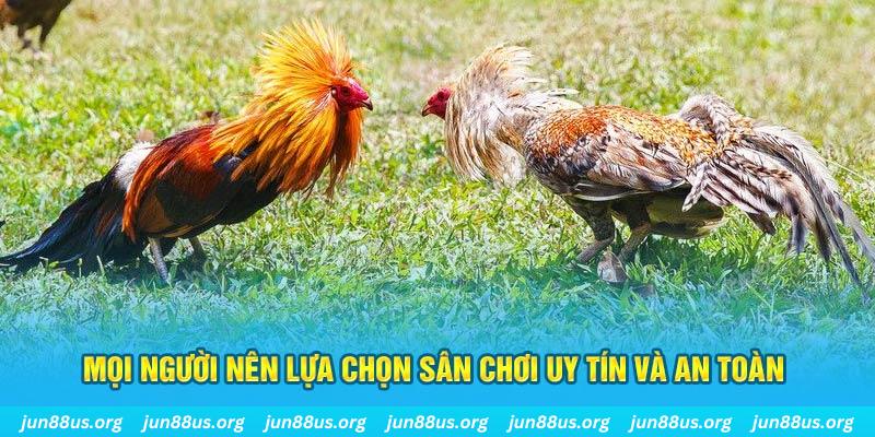 789wim đăng nhập poker 2025