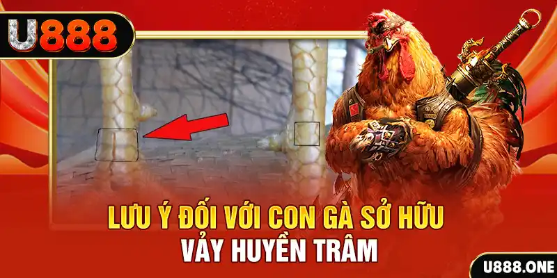 789wim tải game đánh bài tiến lên miền nam về máy tính