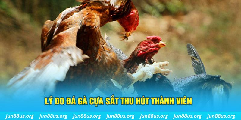 789wim nổ hũ ăn bao nhiêu
