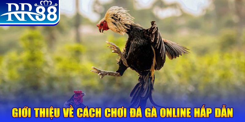789wim EvoPlay Điện Tử
