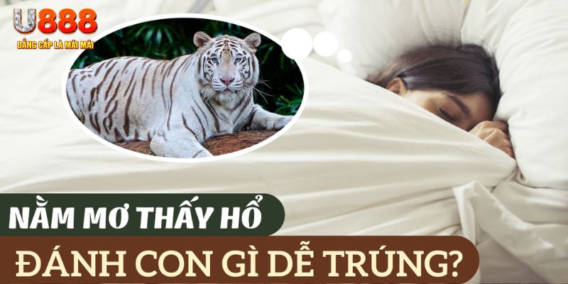 789wim nohu .mx nổ hủ là gì