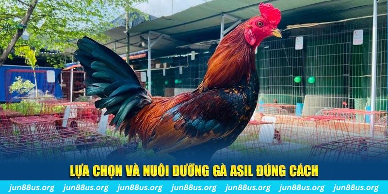 789wim nổ hũ thần tài là gì