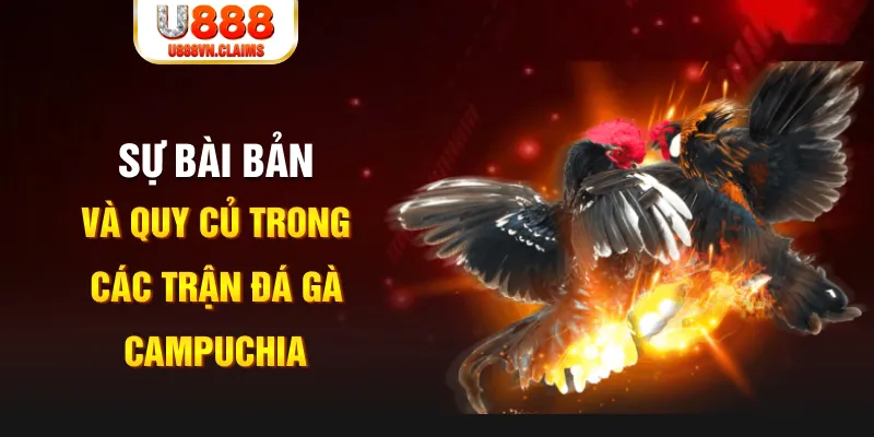 789wim game xếp bài trên máy tính