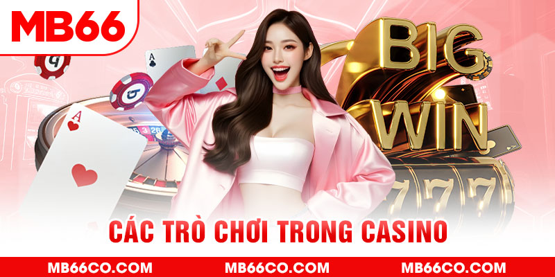 789wim chổi lông gà