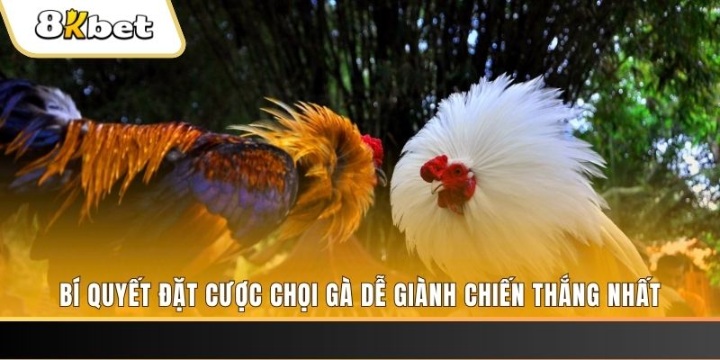 789wim nổ hũ chơi như thế nào