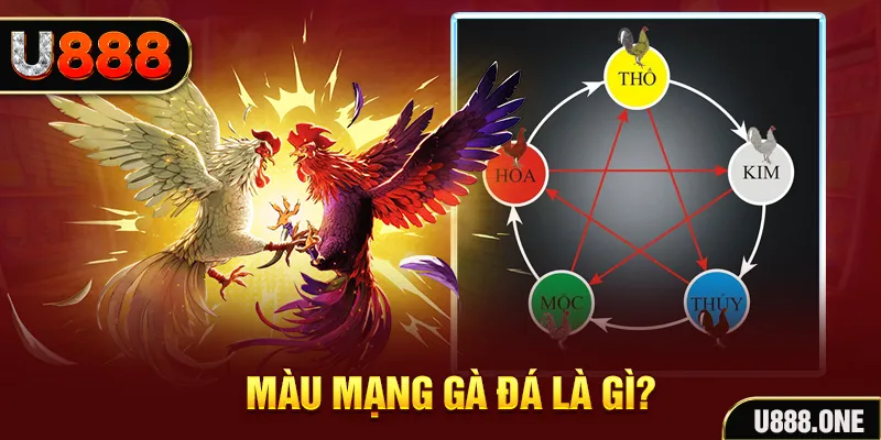789wim V8 Game Bài 3d