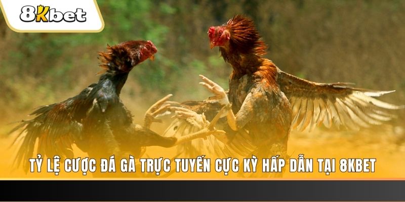 789wim xổ số miền bắc chủ nhật