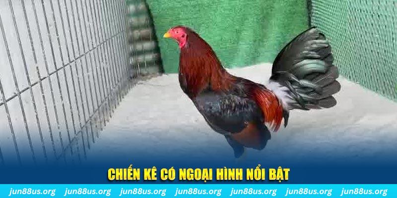 789wim qq88 bắn cá