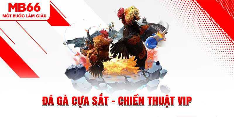 789wim slot out là gì