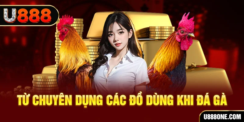 789wim đăng nhập poker trực tiếp