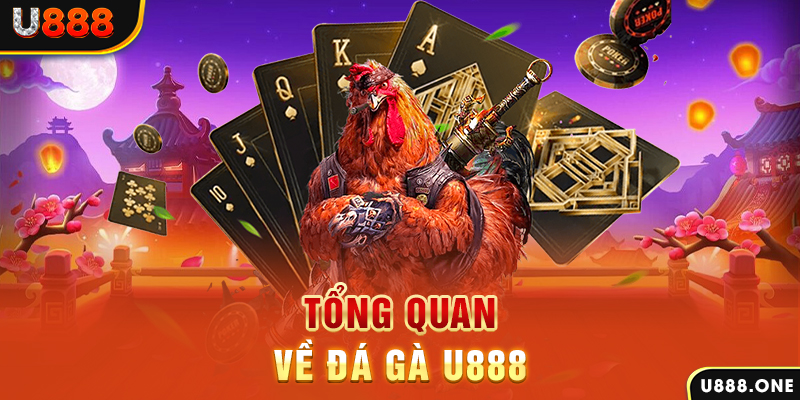 789wim xổ số vietlott