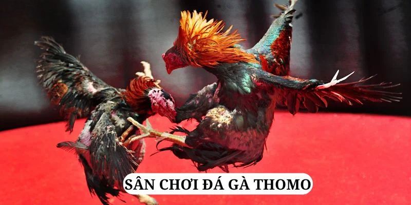 789wim quay nổ hũ là gì