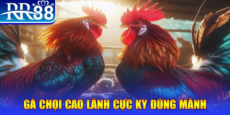 789wim đăng nhập poker live